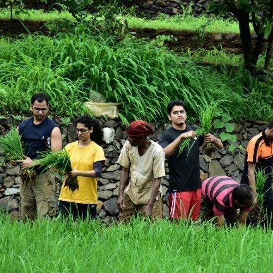 Manikya%20Farms